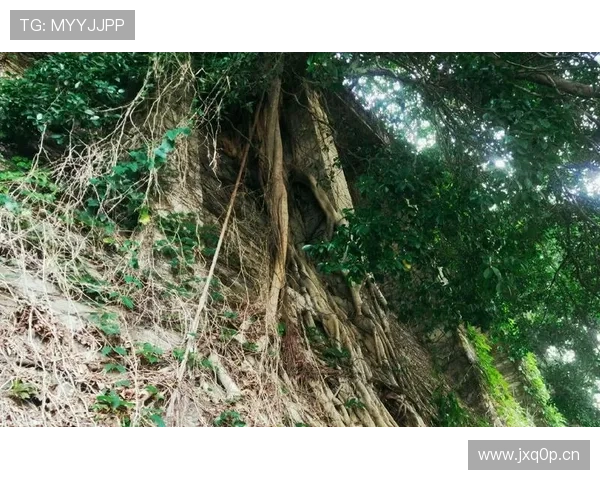 斯洛特称森林排名令人惊讶现状